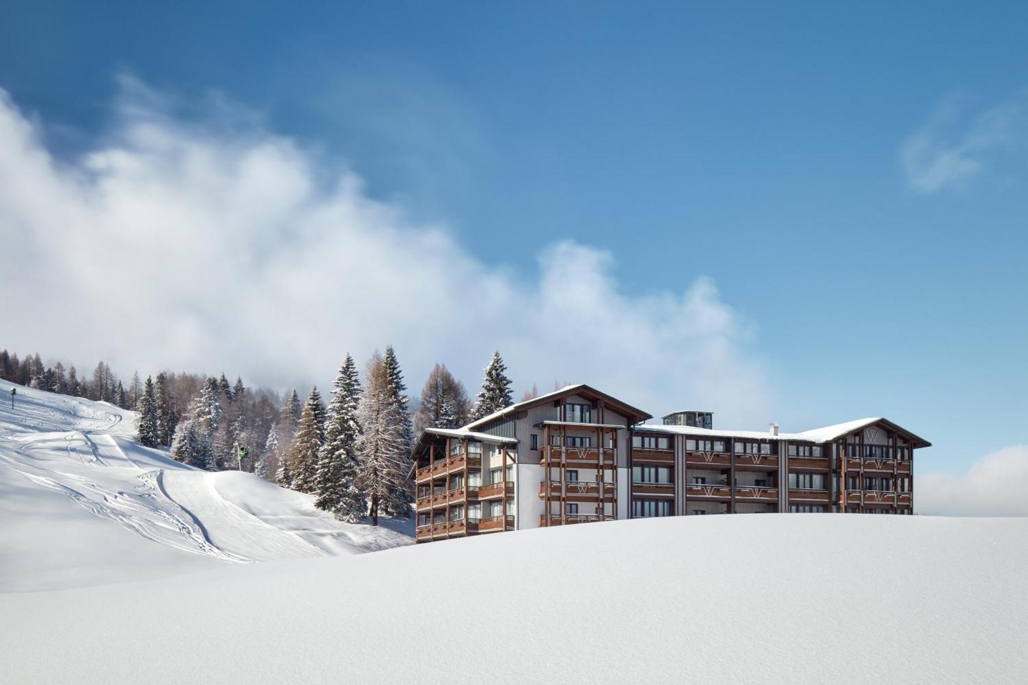 Wulfenia 4s - Adults Only 4*